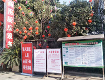 疫情无情人有情，我为抗疫做贡献！